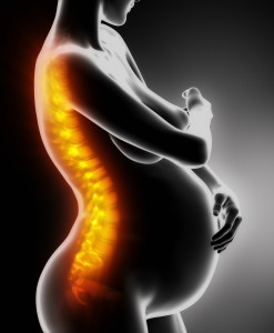 Pregnant woman with visible backbone lateral view